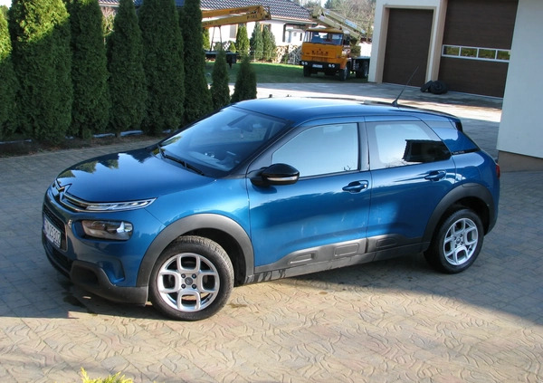 Citroen C4 Cactus cena 51900 przebieg: 65500, rok produkcji 2019 z Pruszcz Gdański małe 379